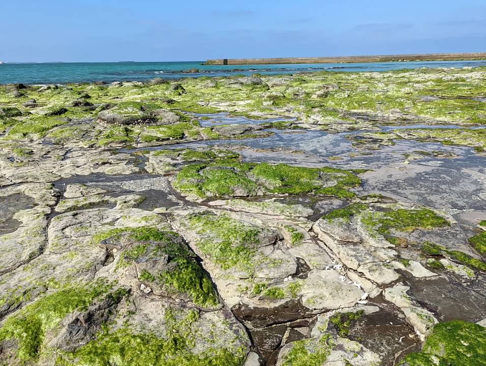 “澎湖海盜船-後寮遊客中心-海賊王船隻出沒白沙沙灘