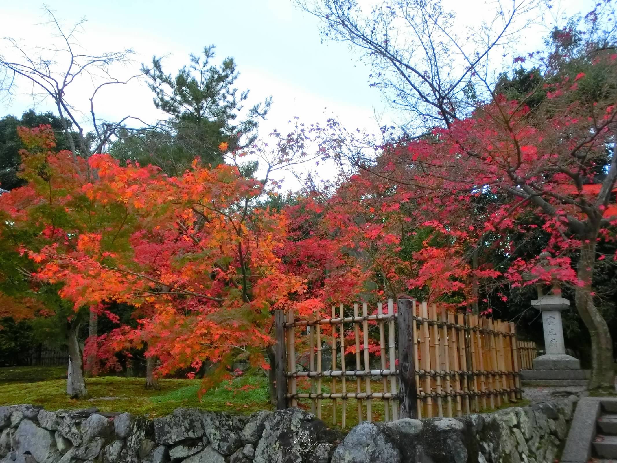 日本京都 天龍寺看楓葉 曹源池庭園 京都嵯峨嵐山 日本世界遺產 寶嚴院 京都賞楓葉推薦景點 交通路線 Hi Mydream