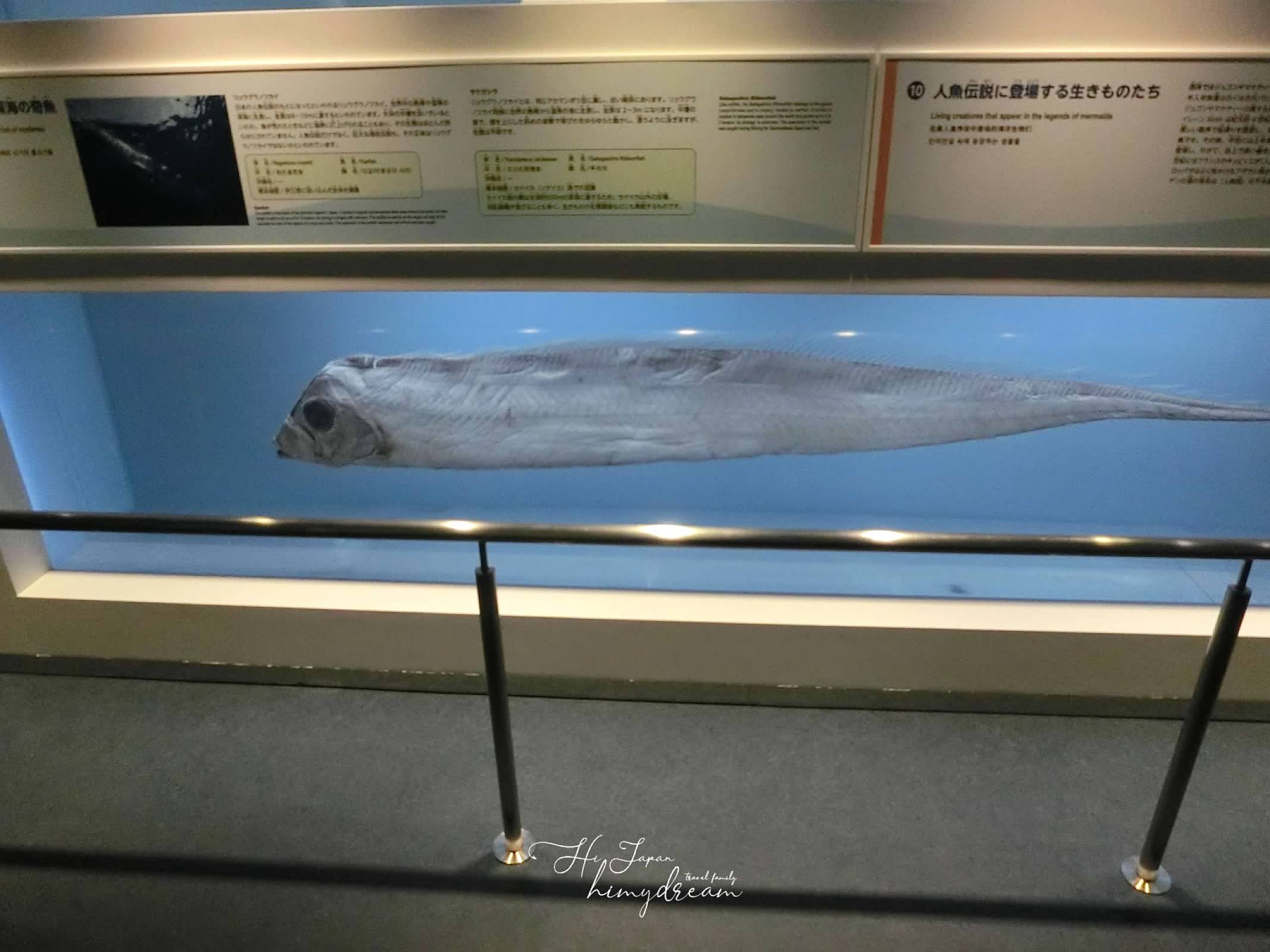 沖繩最好玩景點 
