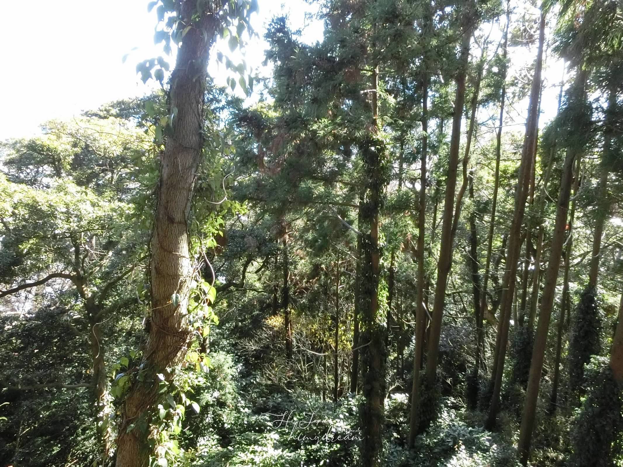 靜岡推薦景點 