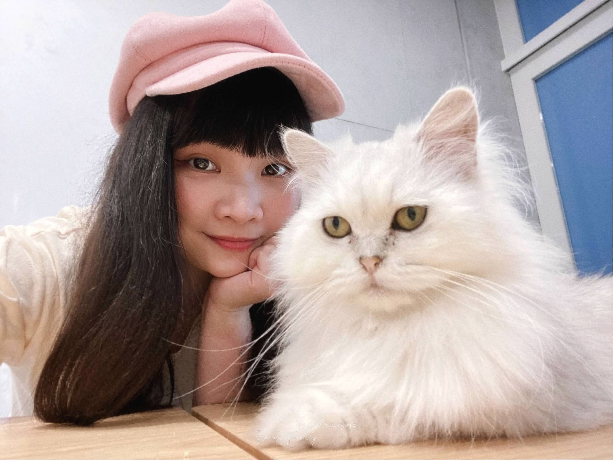 桃園網美咖啡不限時間 