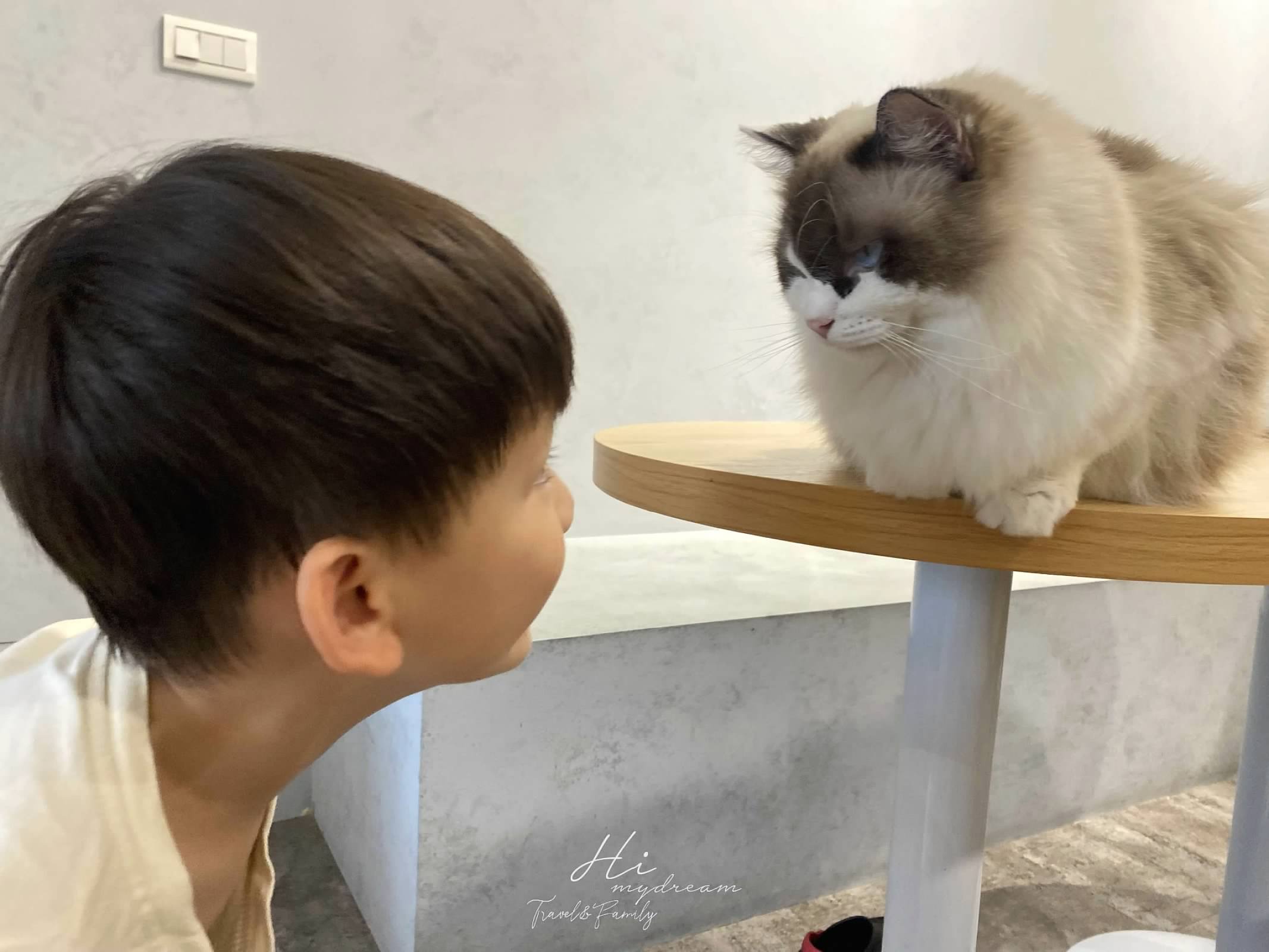 網美咖啡 