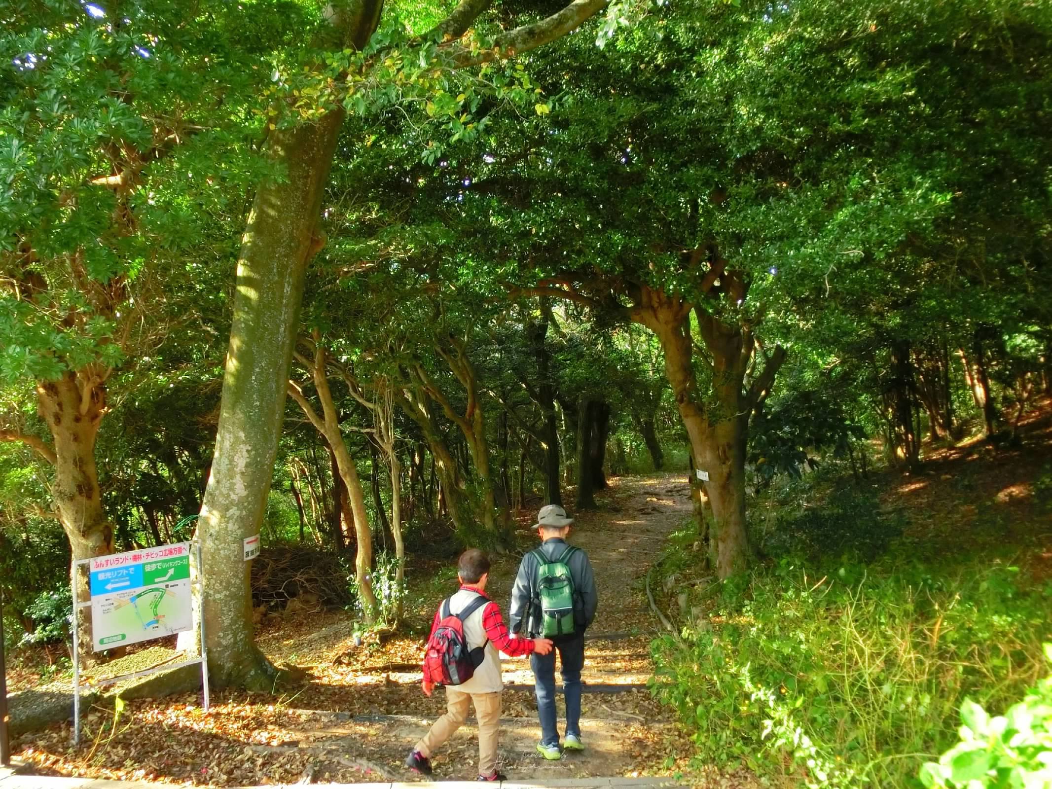 須磨浦公園-神戶纜車-滑道車-觀光電梯-明石海峽大橋-山陽電車神戶坐纜車-神戶親子景點推薦