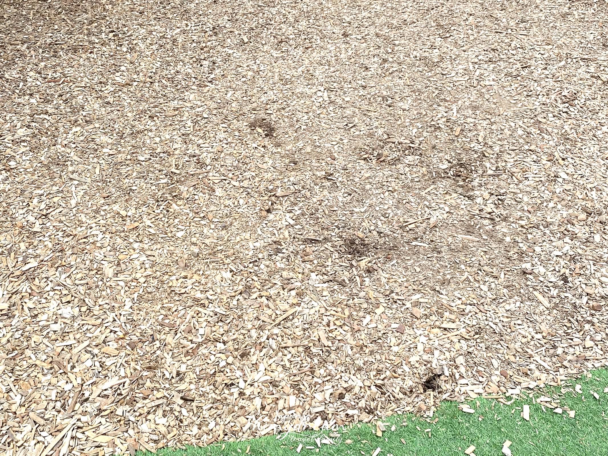 I智慧園區公園 