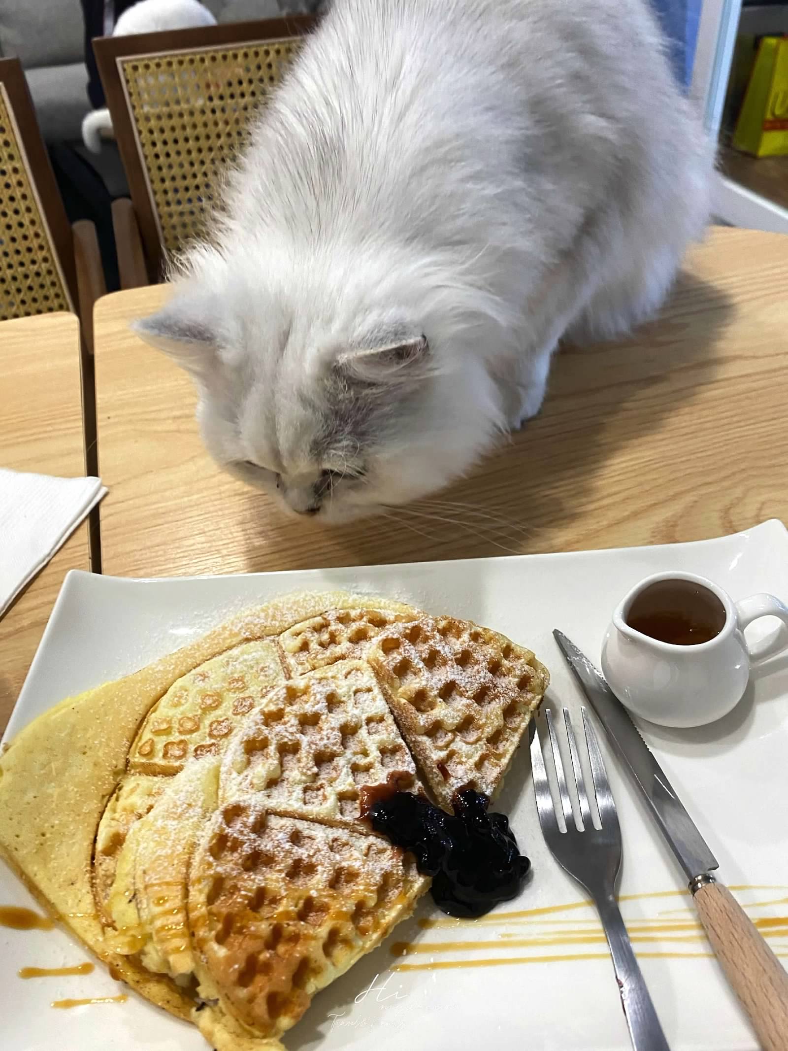 Faith café不限時間 