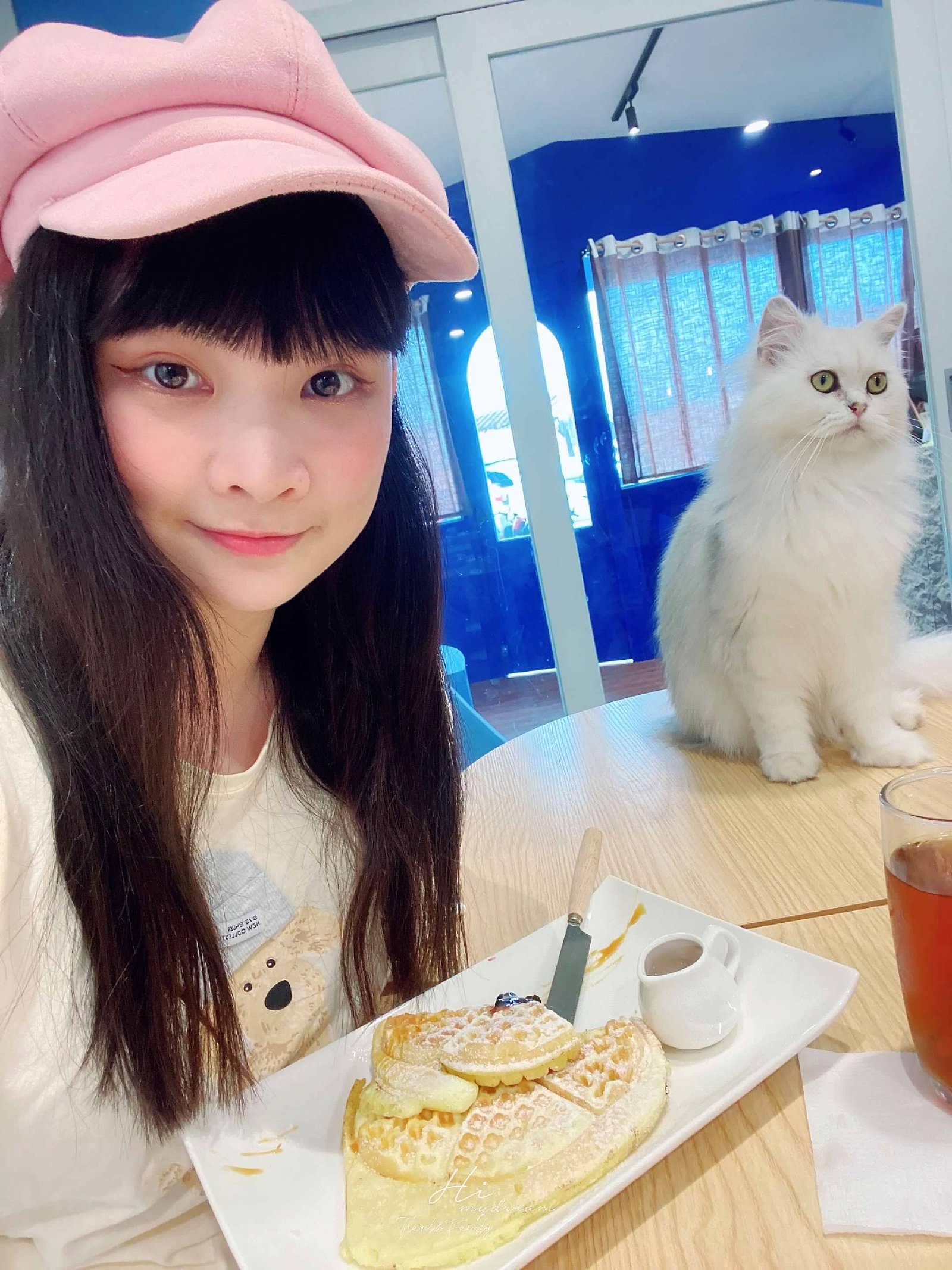 Faith café貓咪隨意走 