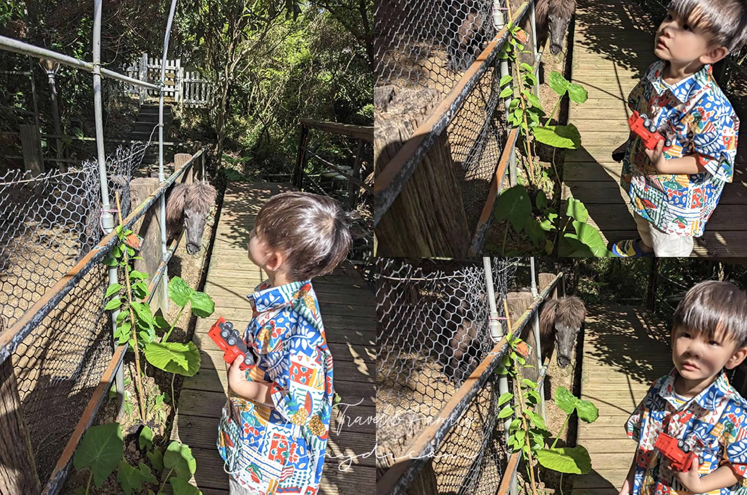 三芝怎麼玩 