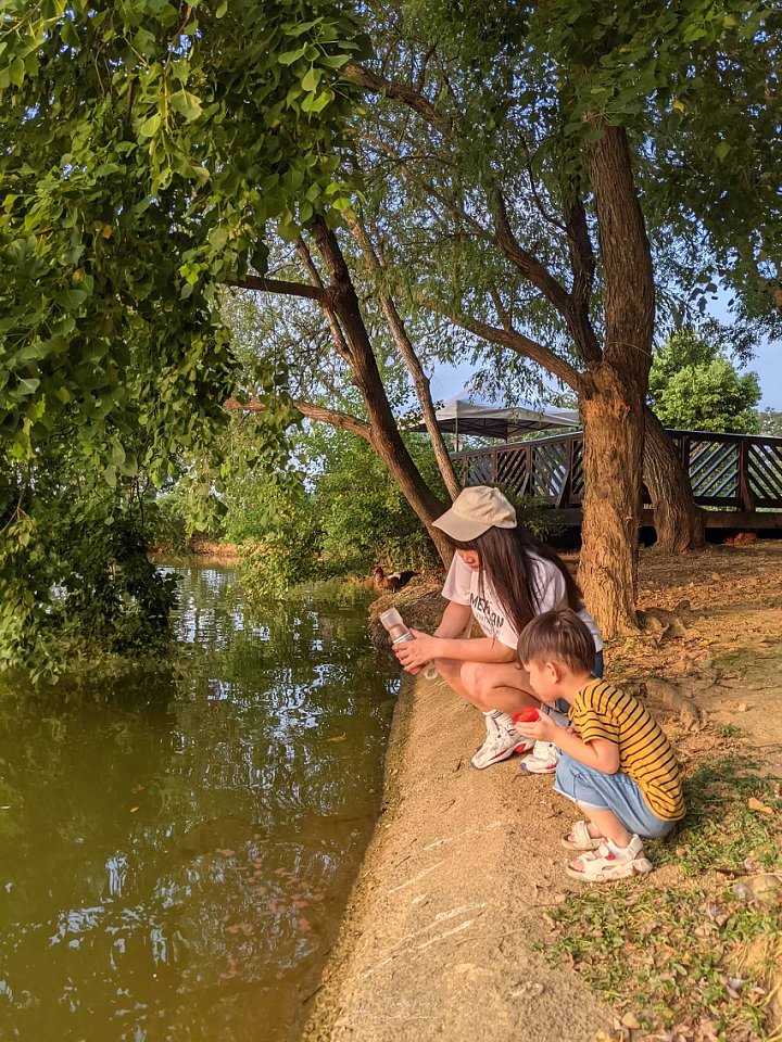 “桃園八德埤塘自然生態公園-