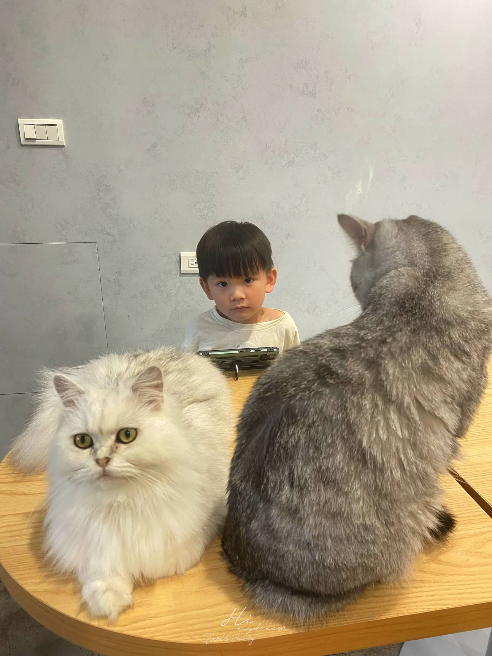 桃園網美咖啡