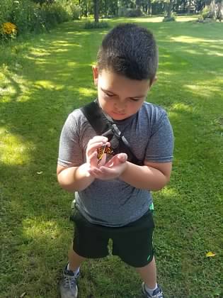 My nephew releasing a monarch butterfly after we raised it. 