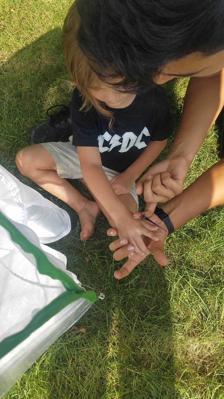 After raising monarch butterflies, placing the butterfly on my nephew's hand so he can release it. 