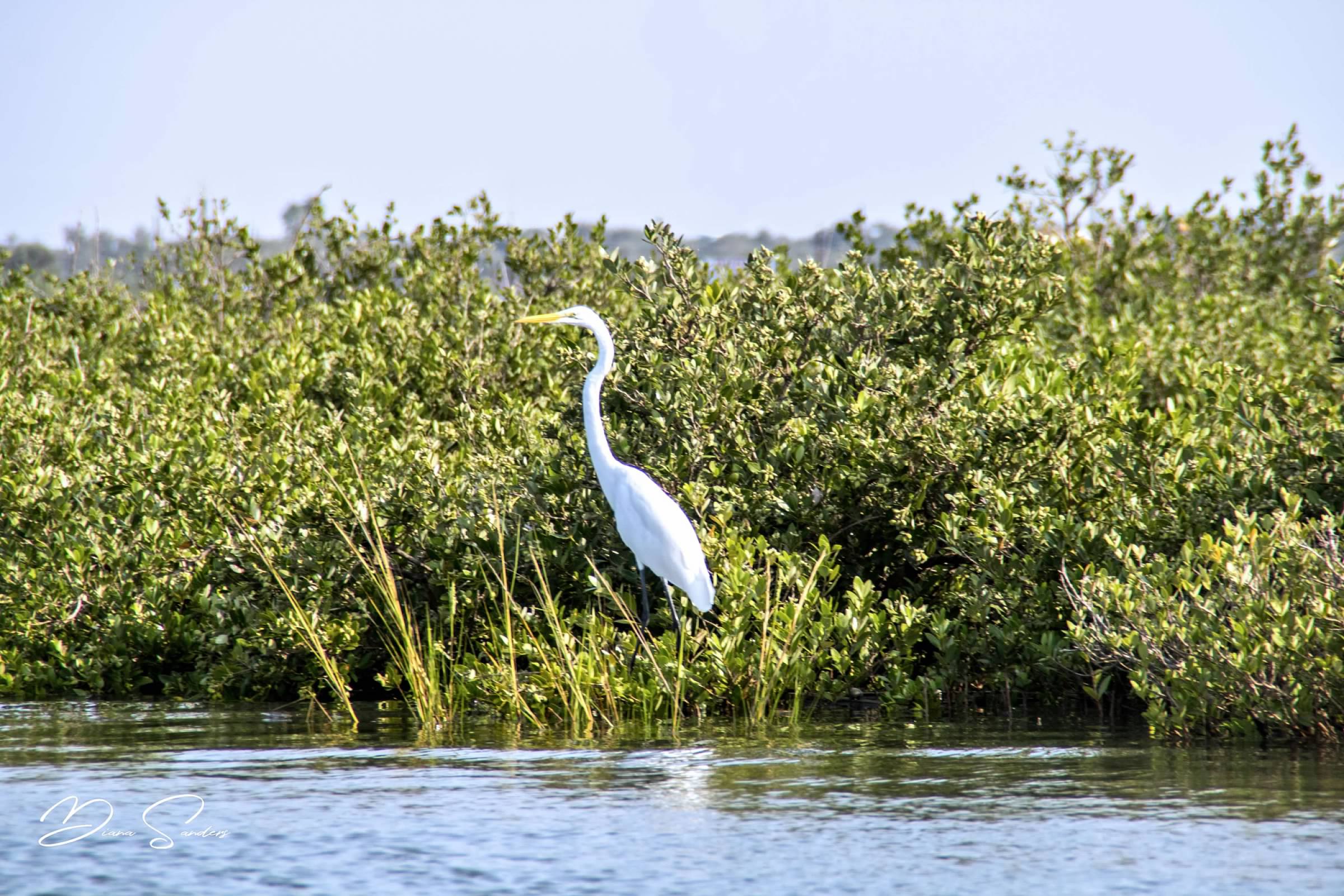 Photo of the Remarkables mountain range in Queenstown, New Zealand.