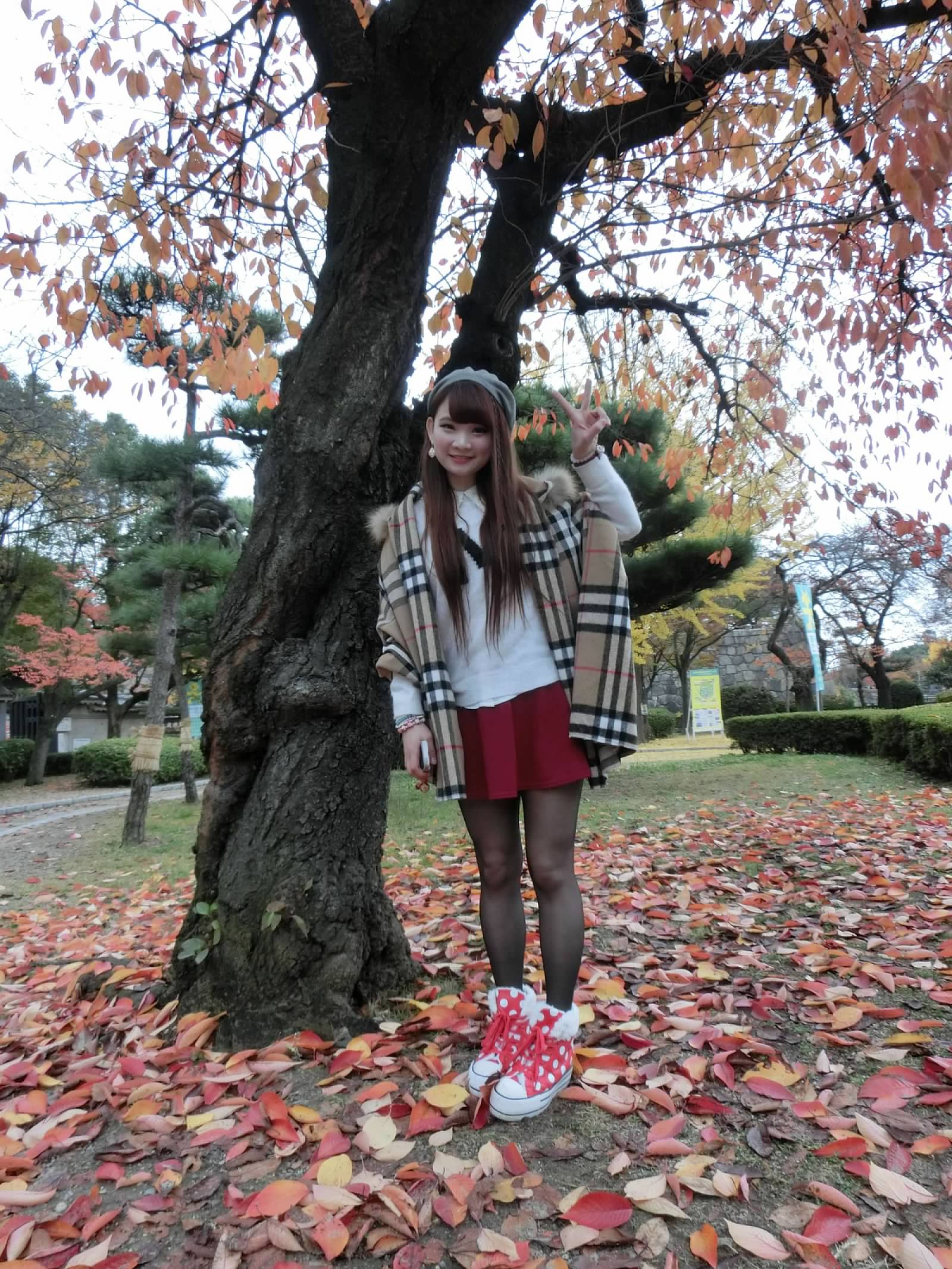 大阪城公園賞楓葉- 大阪城公園銀杏滿開超美 -大阪城公園-大阪城公園銀杏-自駕大阪-NHK-大阪景點推薦-goodspoon-交通攻略-