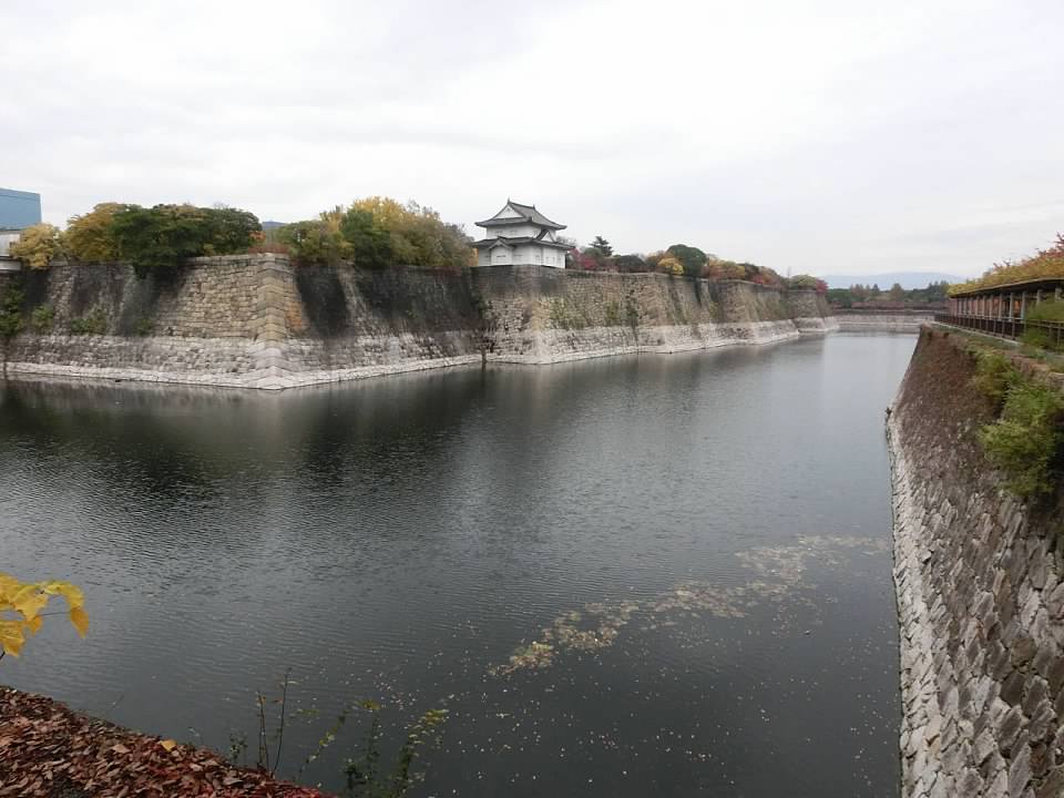 大阪城公園賞楓葉- 大阪城公園銀杏滿開超美 -大阪城公園-大阪城公園銀杏-自駕大阪-NHK-大阪景點推薦-goodspoon-交通攻略-