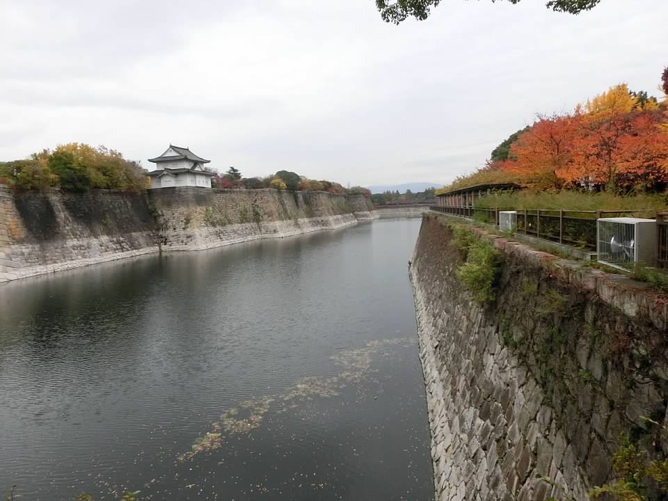大阪城公園賞楓葉- 大阪城公園銀杏滿開超美 -大阪城公園-大阪城公園銀杏-自駕大阪-NHK-大阪景點推薦-goodspoon-交通攻略-
