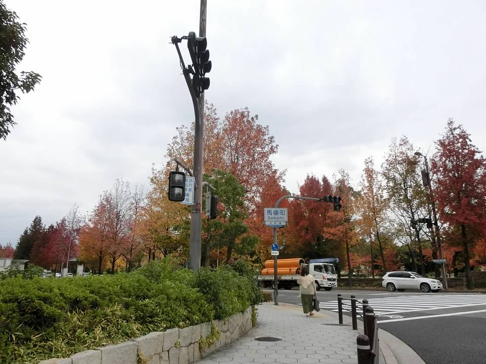 大阪城公園賞楓葉- 大阪城公園銀杏滿開超美 -大阪城公園-大阪城公園銀杏-自駕大阪-NHK-大阪景點推薦-goodspoon-交通攻略-