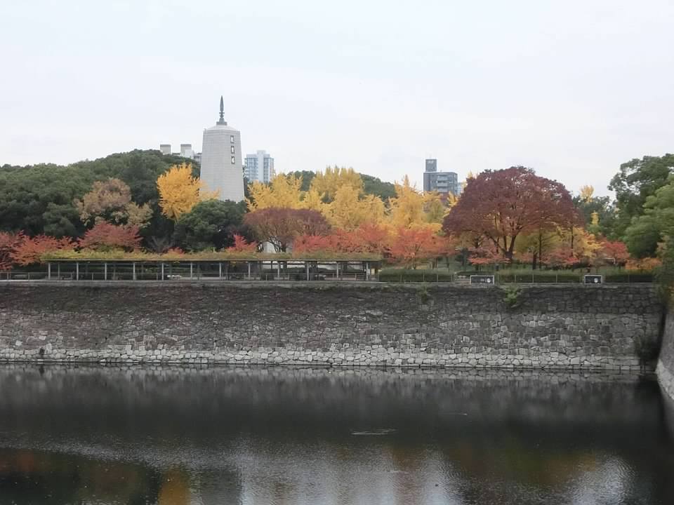 大阪城公園賞楓葉- 大阪城公園銀杏滿開超美 -大阪城公園-大阪城公園銀杏-自駕大阪-NHK-大阪景點推薦-goodspoon-交通攻略-
