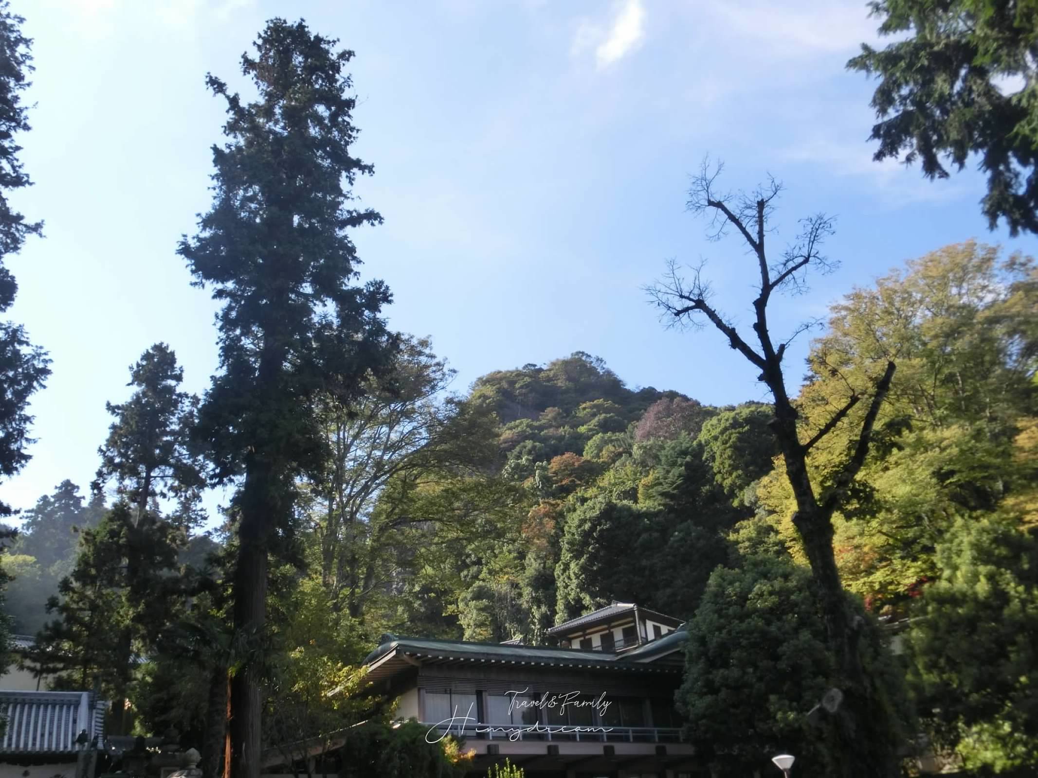 奈良自由行必玩景點-寶山寺大鳥居-摩波楽茶屋-聖天通り-鬼取山-生駒山上遊樂園-生駒ケーブル登山纜車-奈良親子景點-奈良寺廟-奈良山上夜景-奈良鳥居-生駒ケーブル-奈良纜車-奈良一日遊-奈良自駕