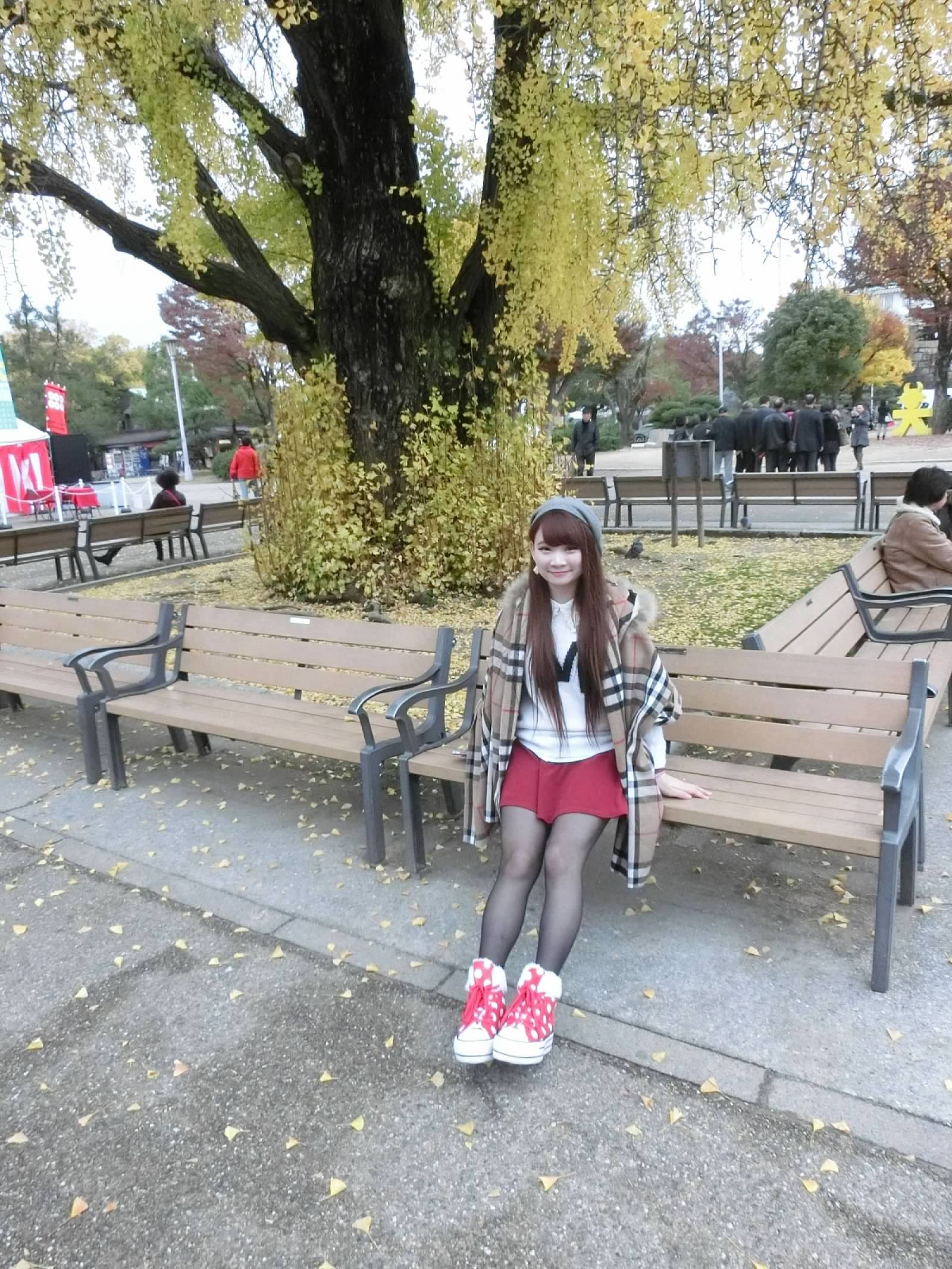大阪城公園賞楓葉- 大阪城公園銀杏滿開超美 -大阪城公園-大阪城公園銀杏-自駕大阪-NHK-大阪景點推薦-goodspoon-交通攻略-