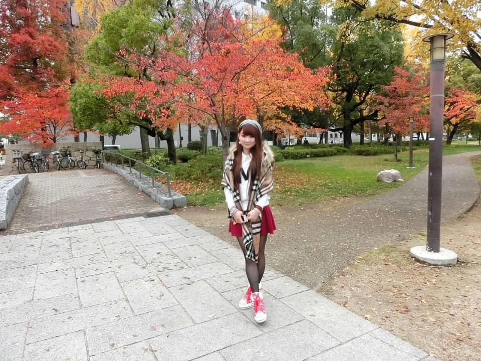 大阪城公園賞楓葉- 大阪城公園銀杏滿開超美 -大阪城公園-大阪城公園銀杏-自駕大阪-NHK-大阪景點推薦-goodspoon-交通攻略-