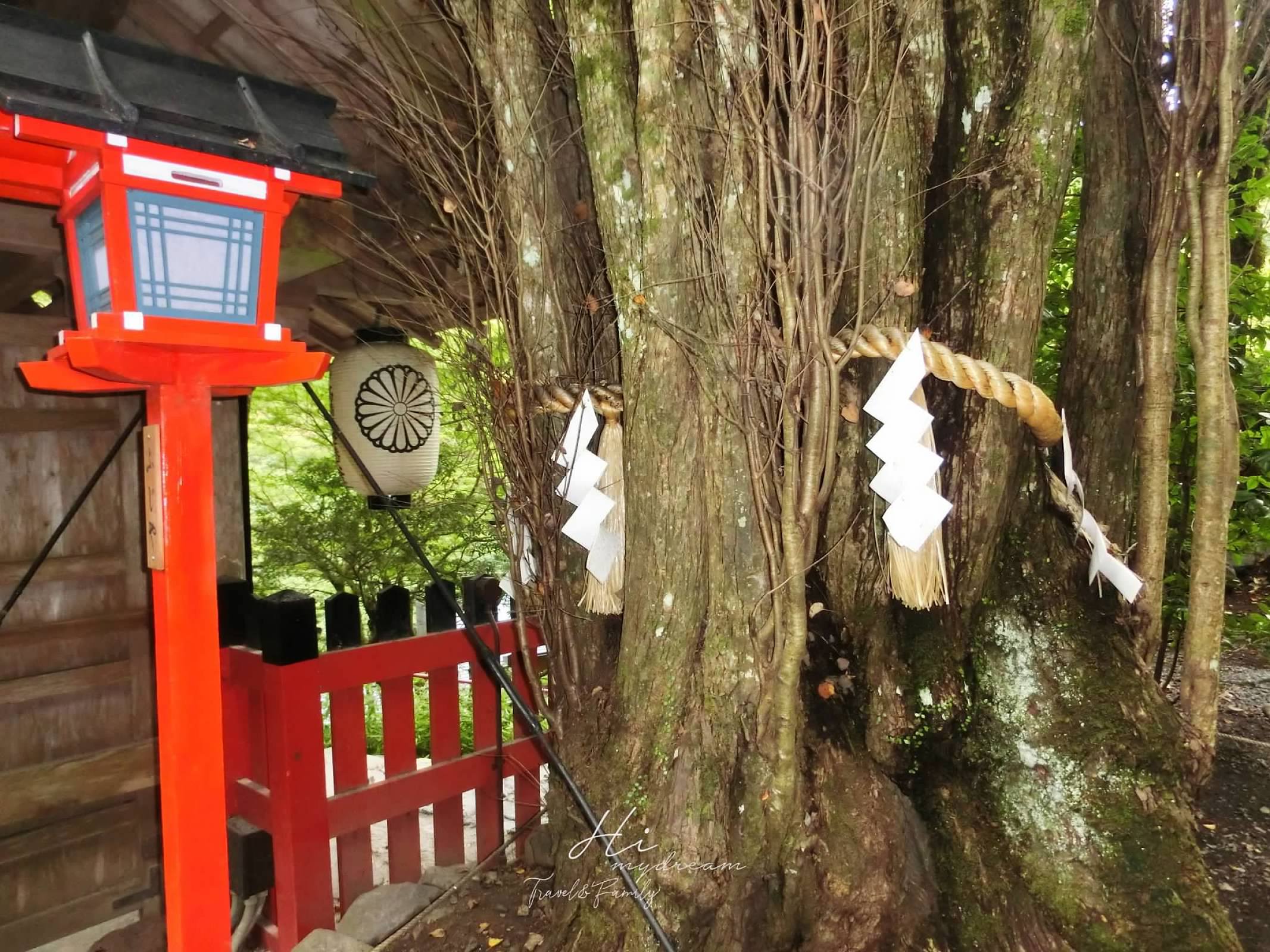 貴船神社 在日本騎腳踏車觀光/戀愛神社/水占卜/繪馬發祥之社/紅葉名所之一/鞍馬寺一日遊/貴船景點