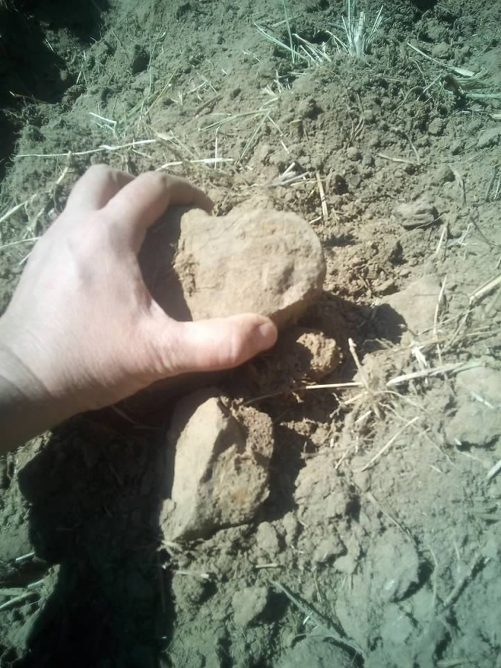 Image uploaded by user on 3/30/2026