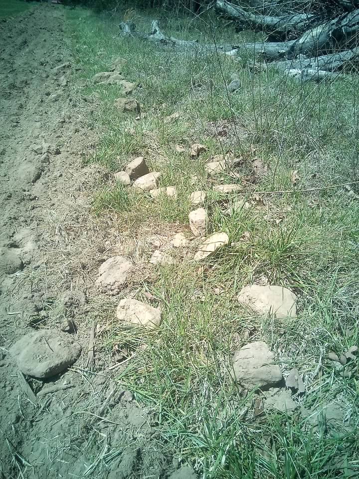 Image uploaded by user on 3/30/2026