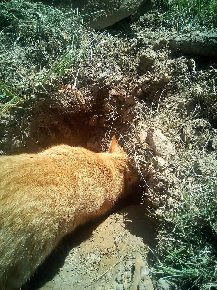 Image uploaded by user on 3/30/2026