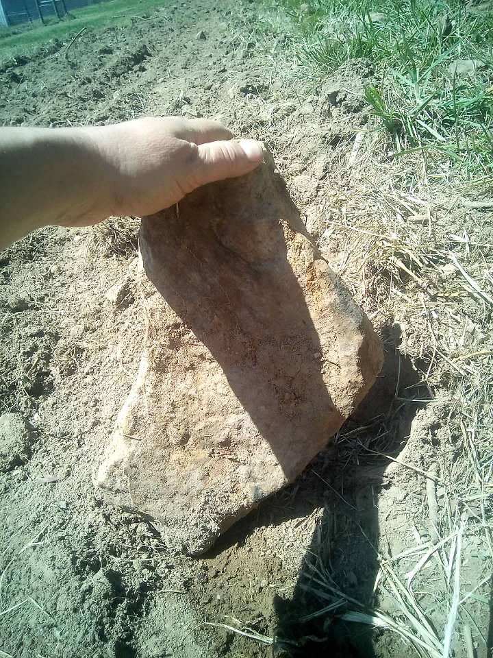 Image uploaded by user on 3/30/2026