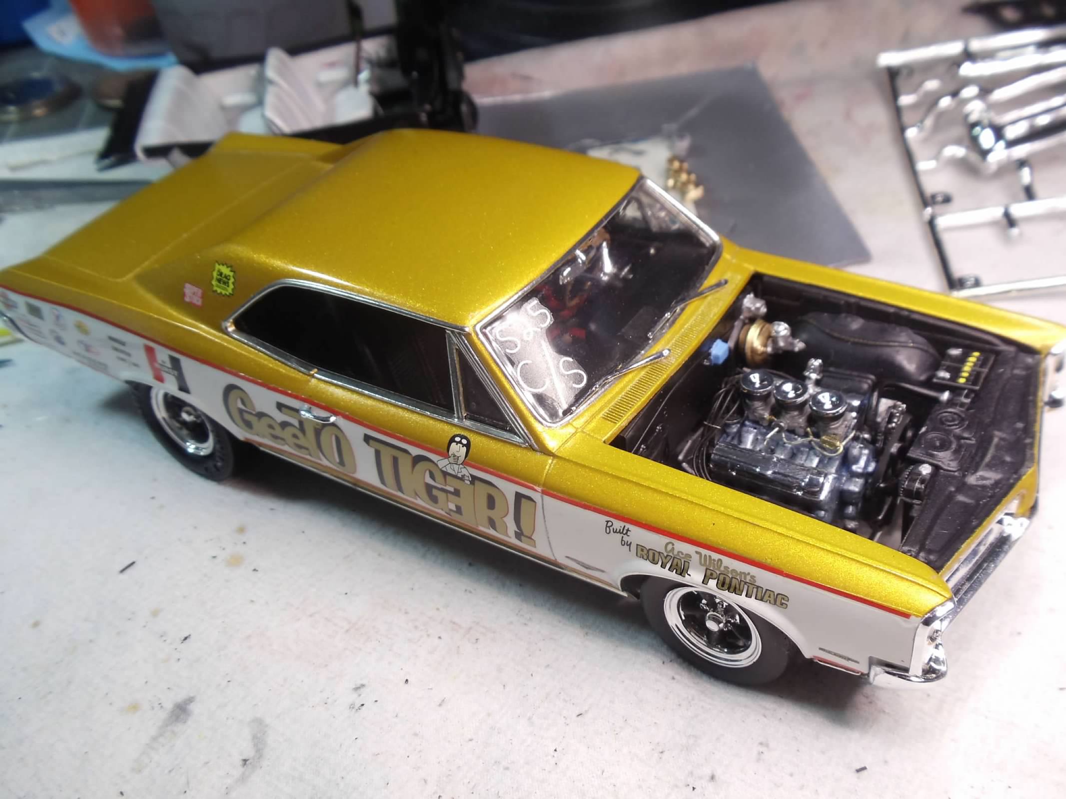 00-Y-8Yc6DVh--ZPkGITLwl4ftFjzPT9fAvEBf1aalWdFzoYBtZ6CaklWQiiciP_aPd4xJ2Twu75QF_jizMkB1ZdA?cn=THISLIFE&res=large&ts=1647775368