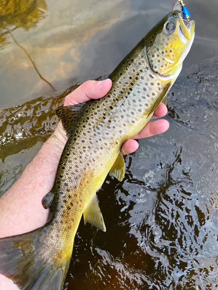 www.huntingpa.com