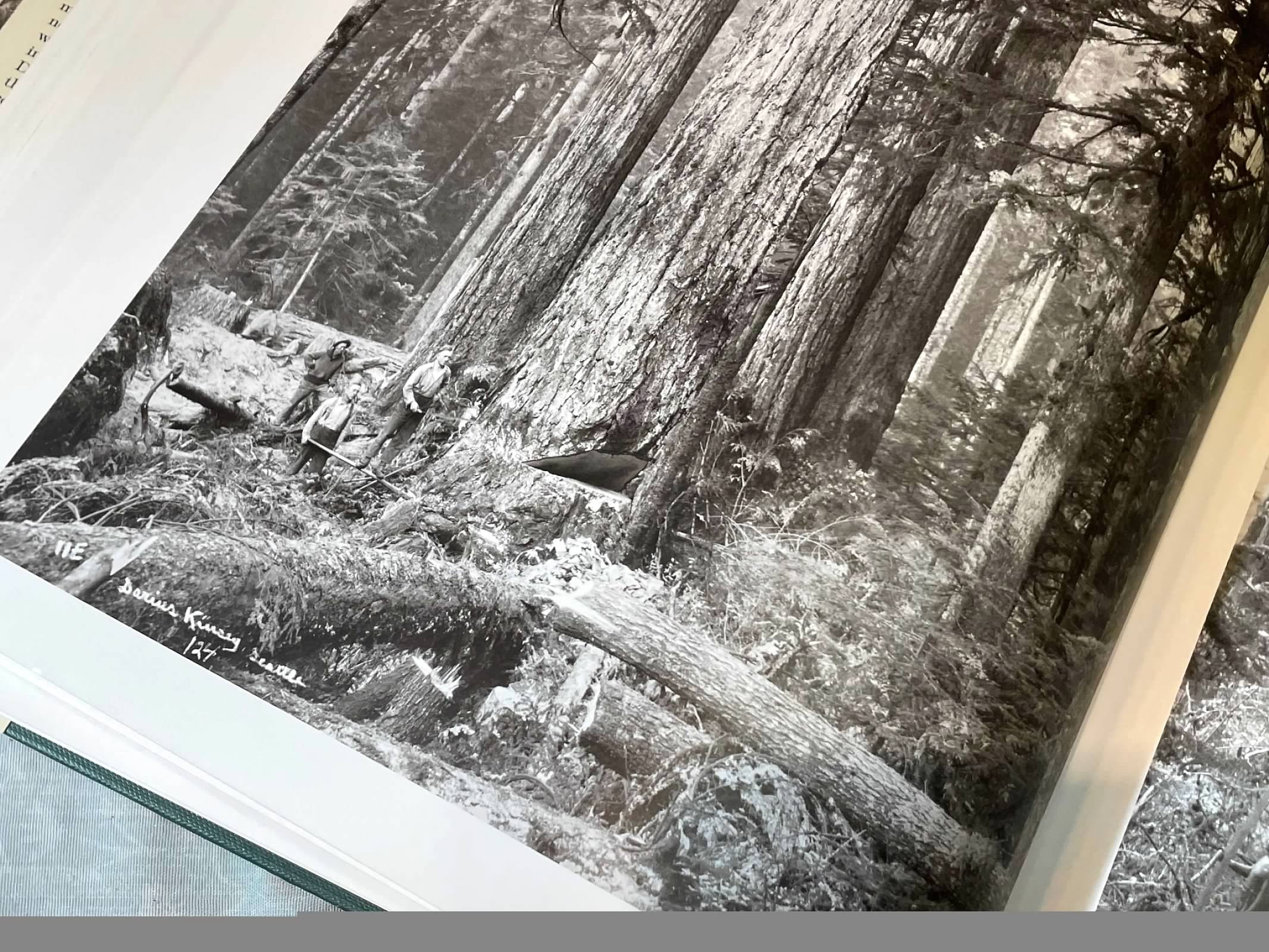 Kinsey Photographer Vol. 1 & 2　ダリウス・キンゼイ Kinsey Photographer - Vol. I and II combined Hardbound