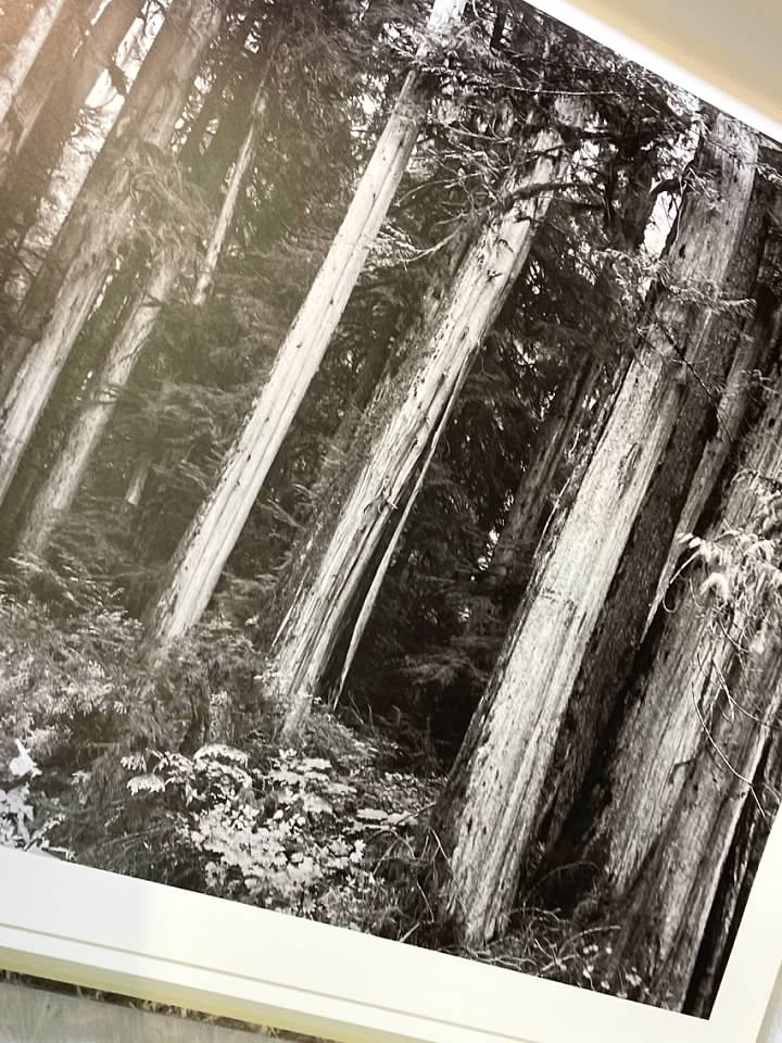 Kinsey Photographer Vol 1 The Family Album & Other Early Work