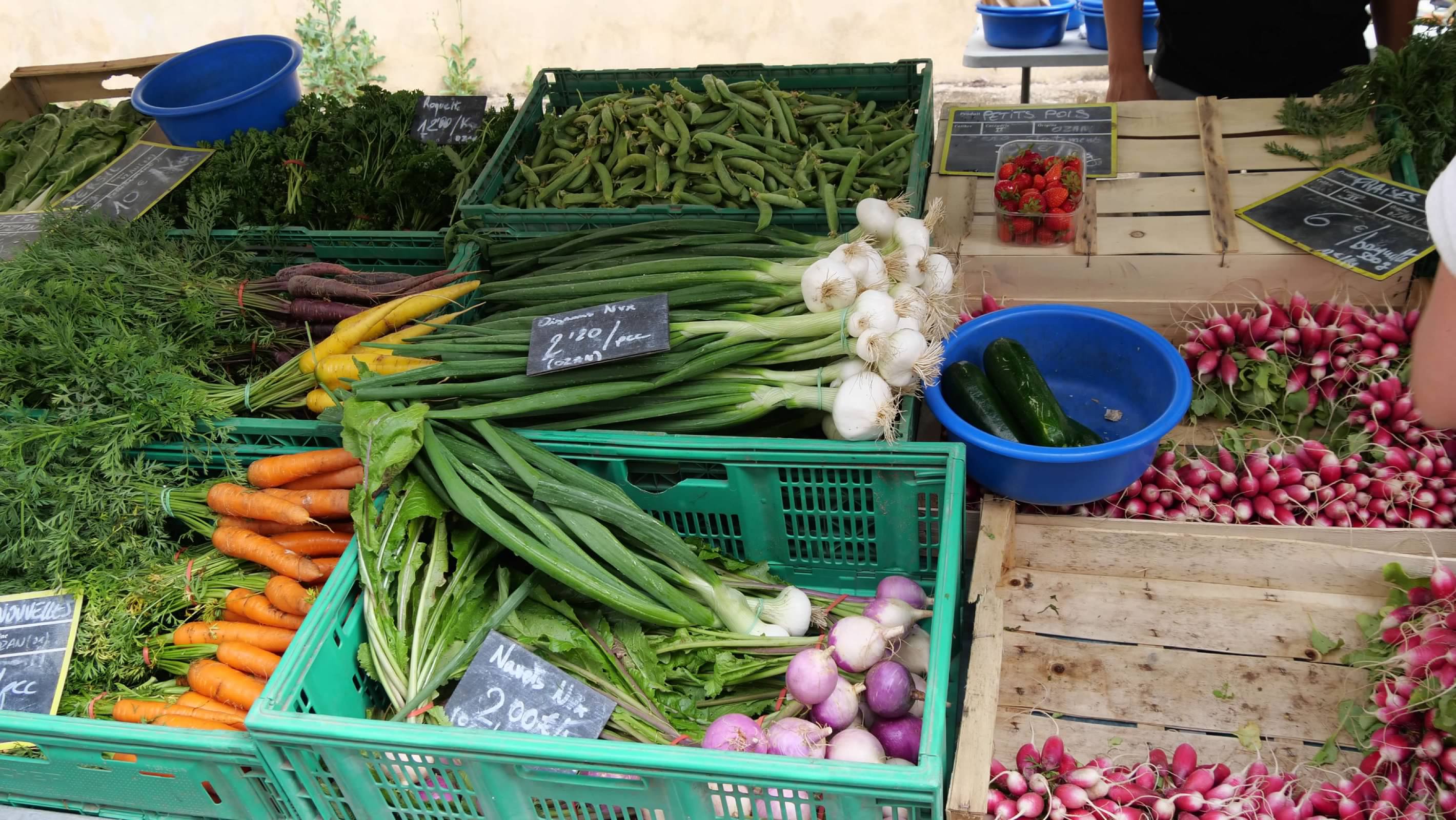 The market in Cluny
