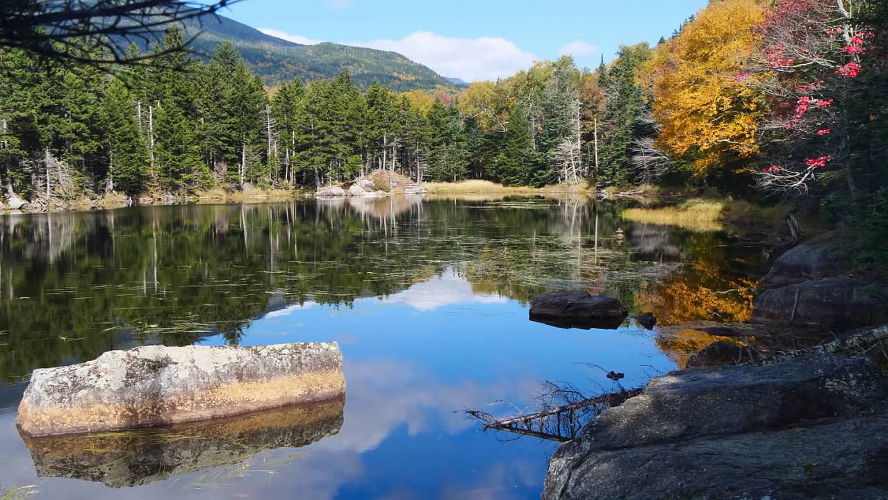 Lost Pond
