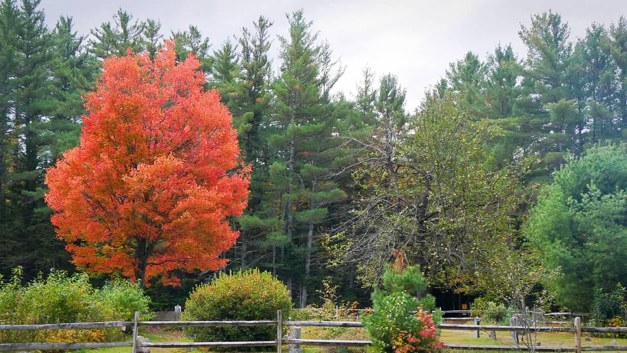 The cemetery at the Russell-Colbath Historic Site
