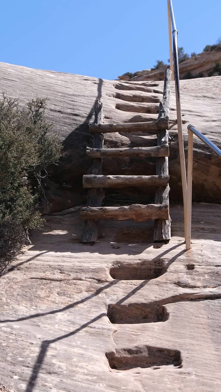 One of the ladders along the way