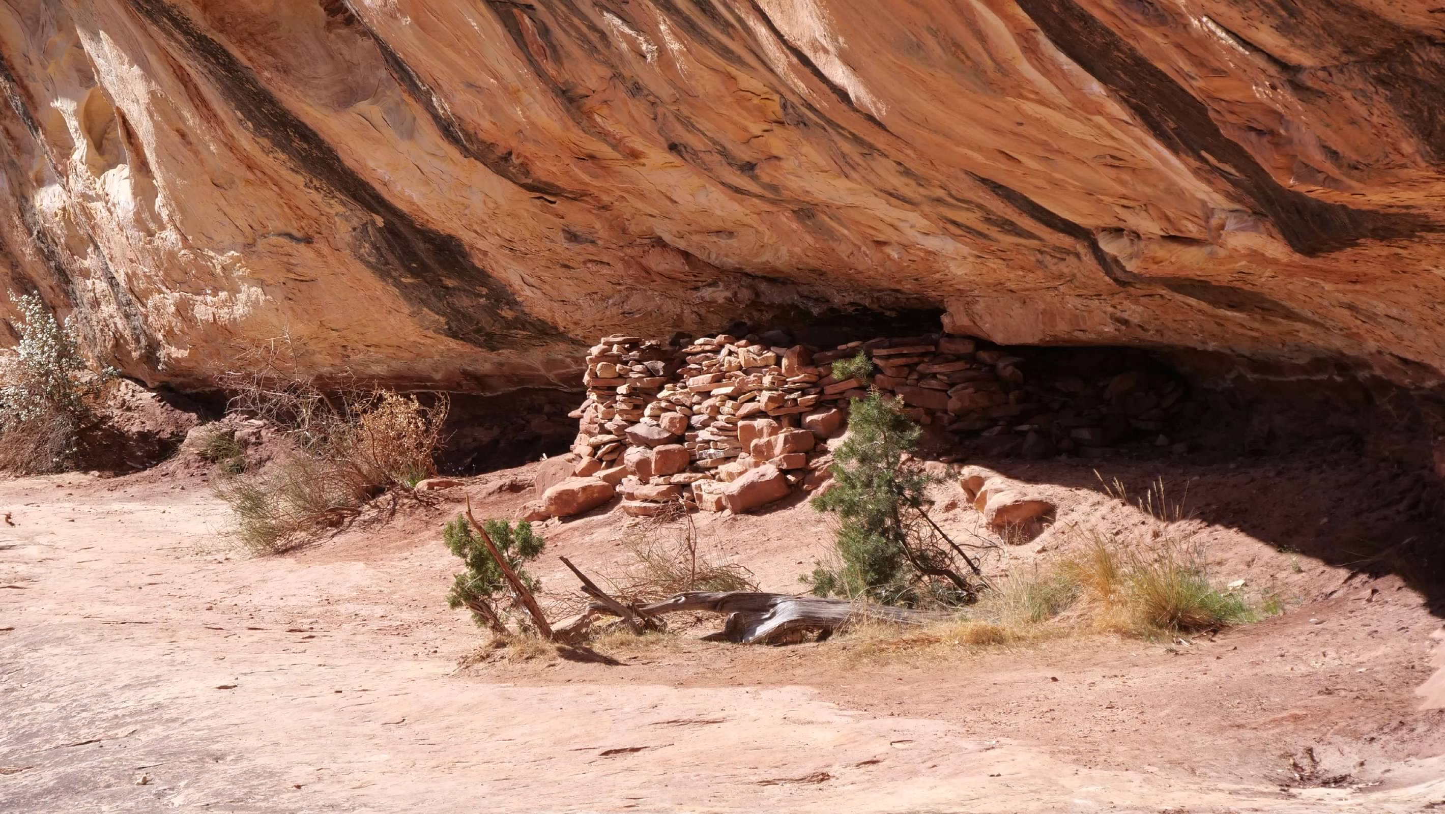 Ruins on the Sipapu Bridge trail