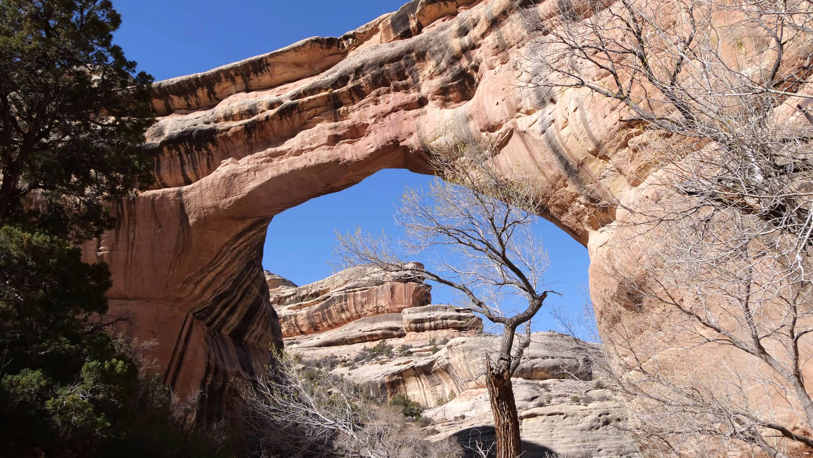 Sipapu Bridge from the canyon floor