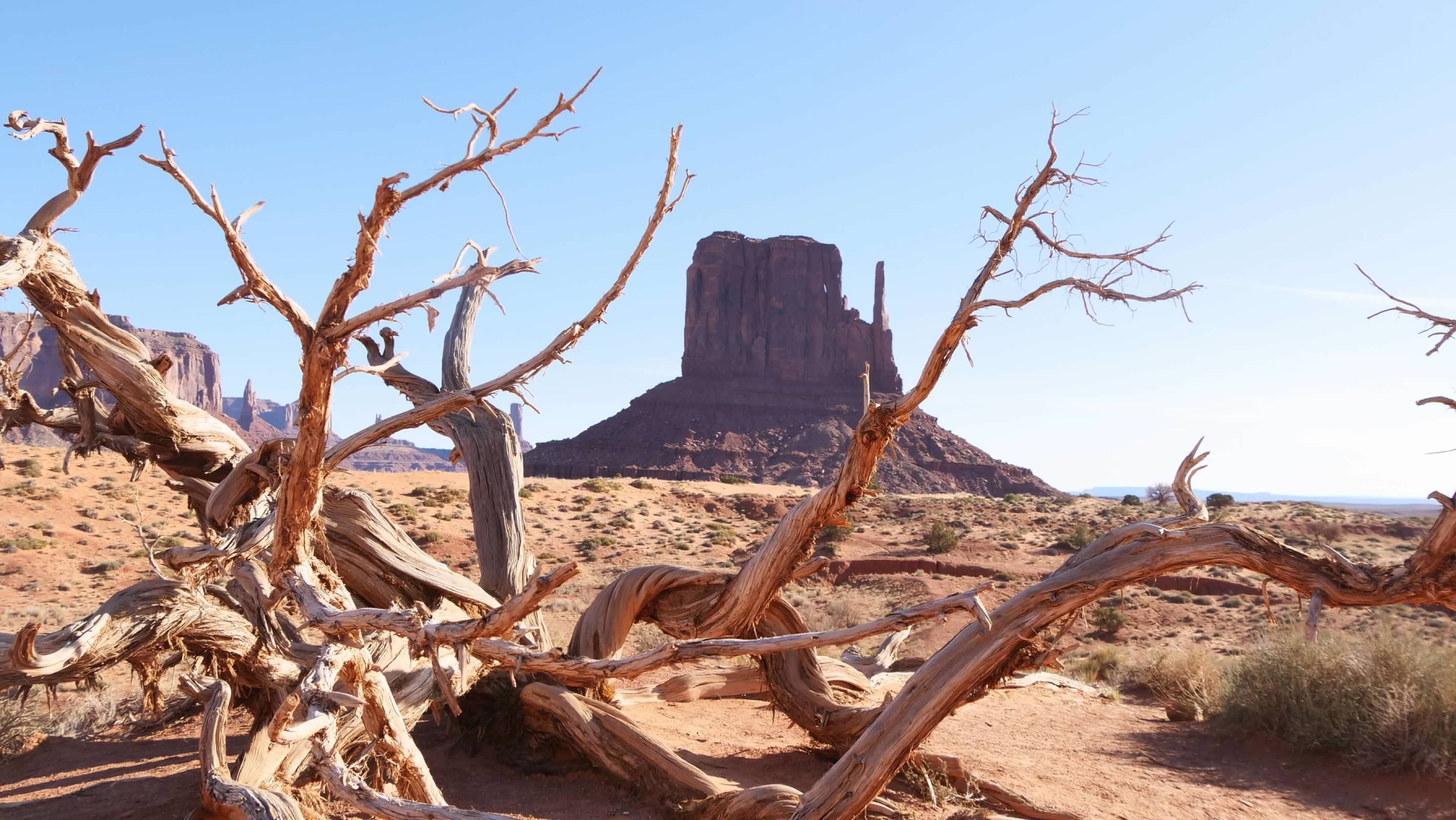 West Mitten Butte