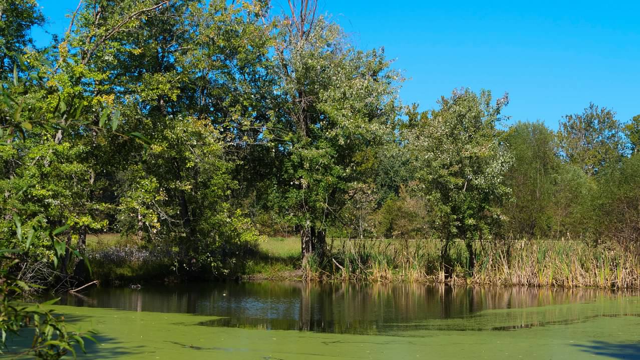 The mill pond at the Gambrill Mill