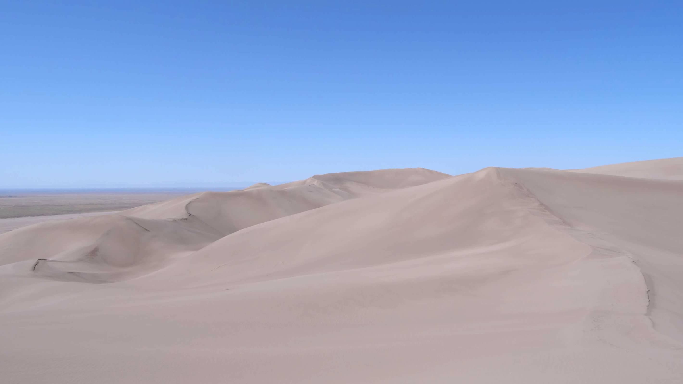 In the Dunes