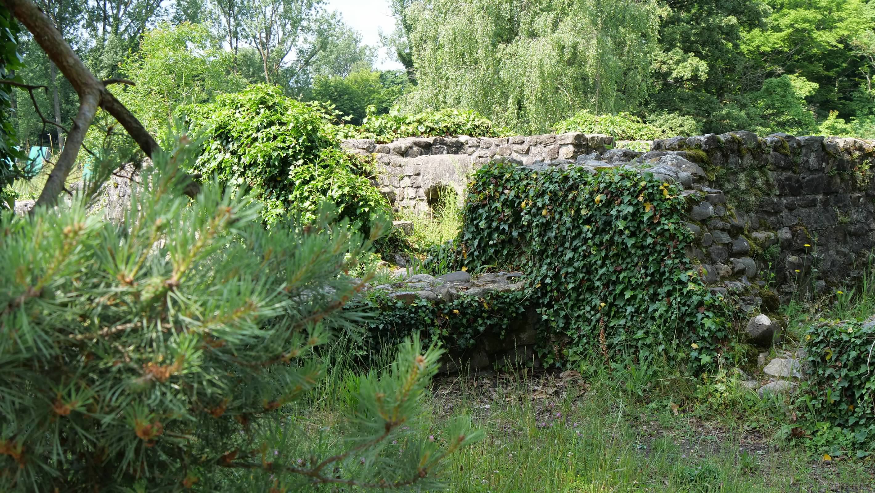 Ruins of the Gallo-Roman town of Lousonne