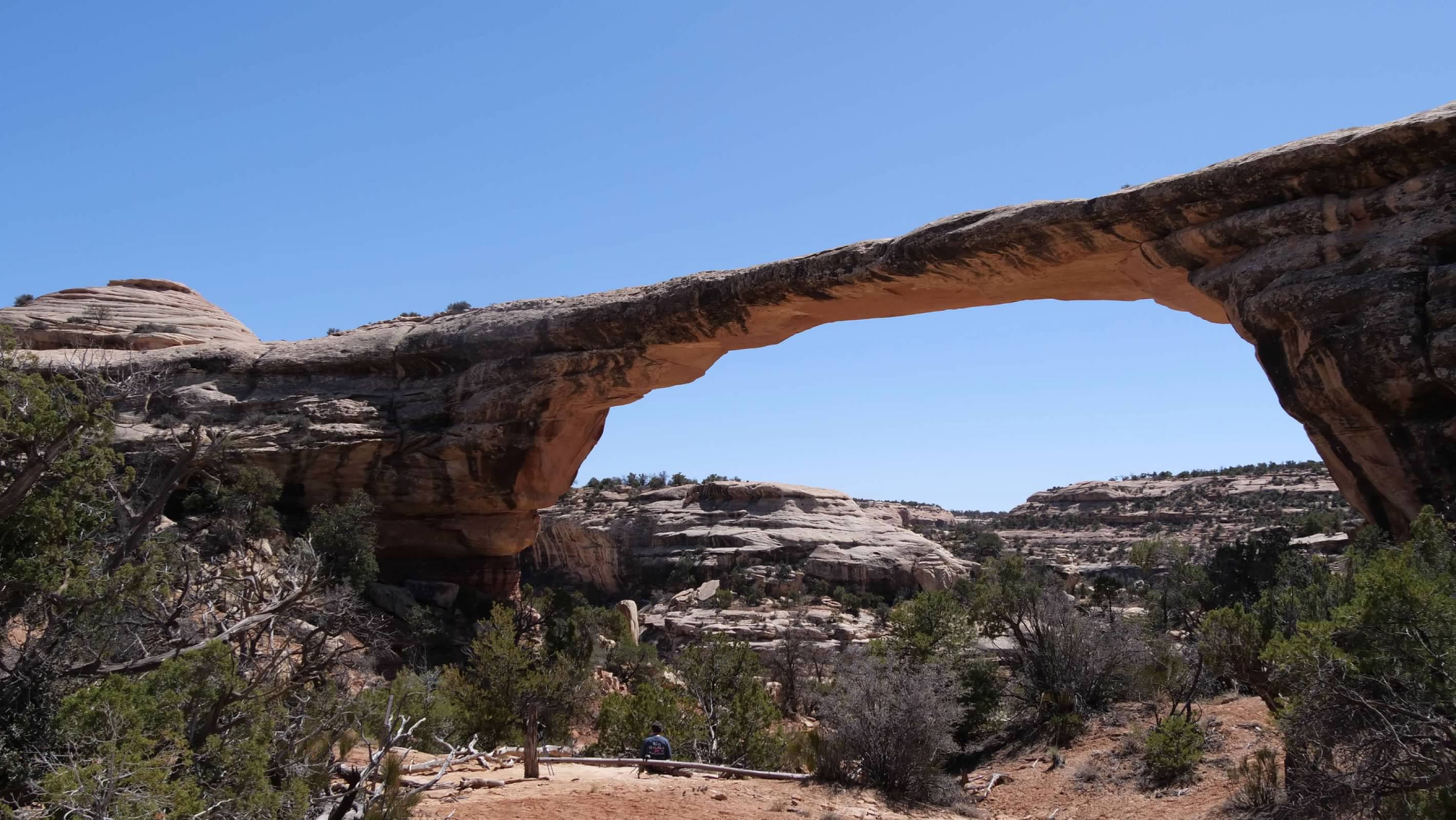 Owachomo Bridge, viewed from about halfway down the trail