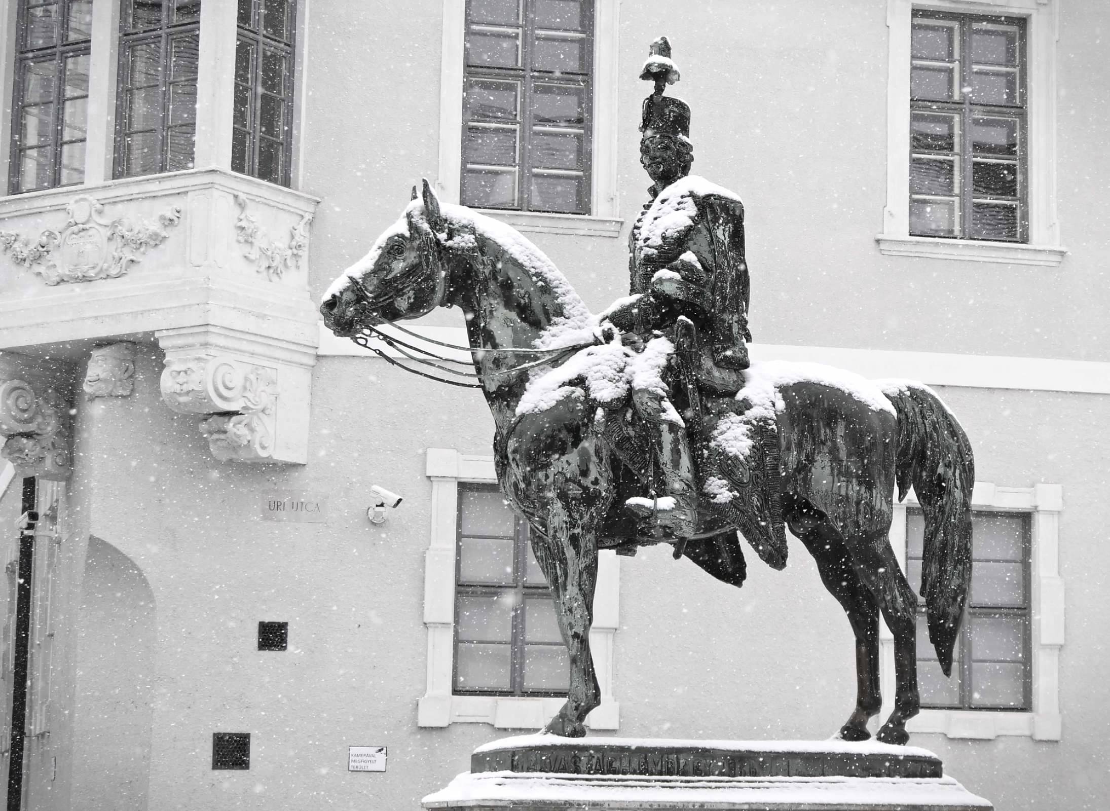 Equestrian statue in the snow