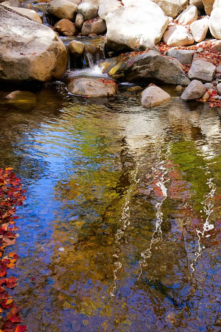 Autumn reflections on Nancy Brook