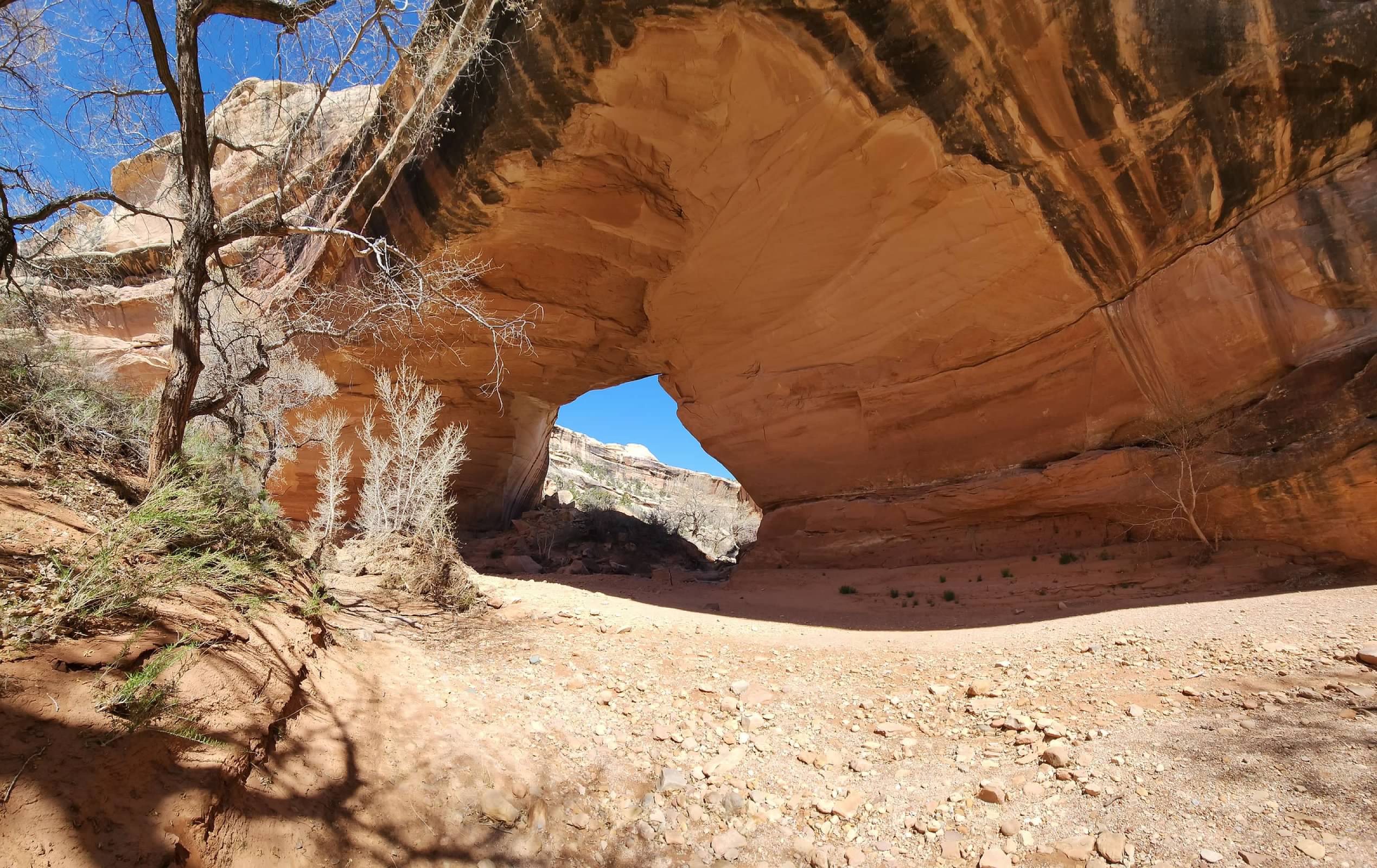 Wide angle shot of Kachina Bridge