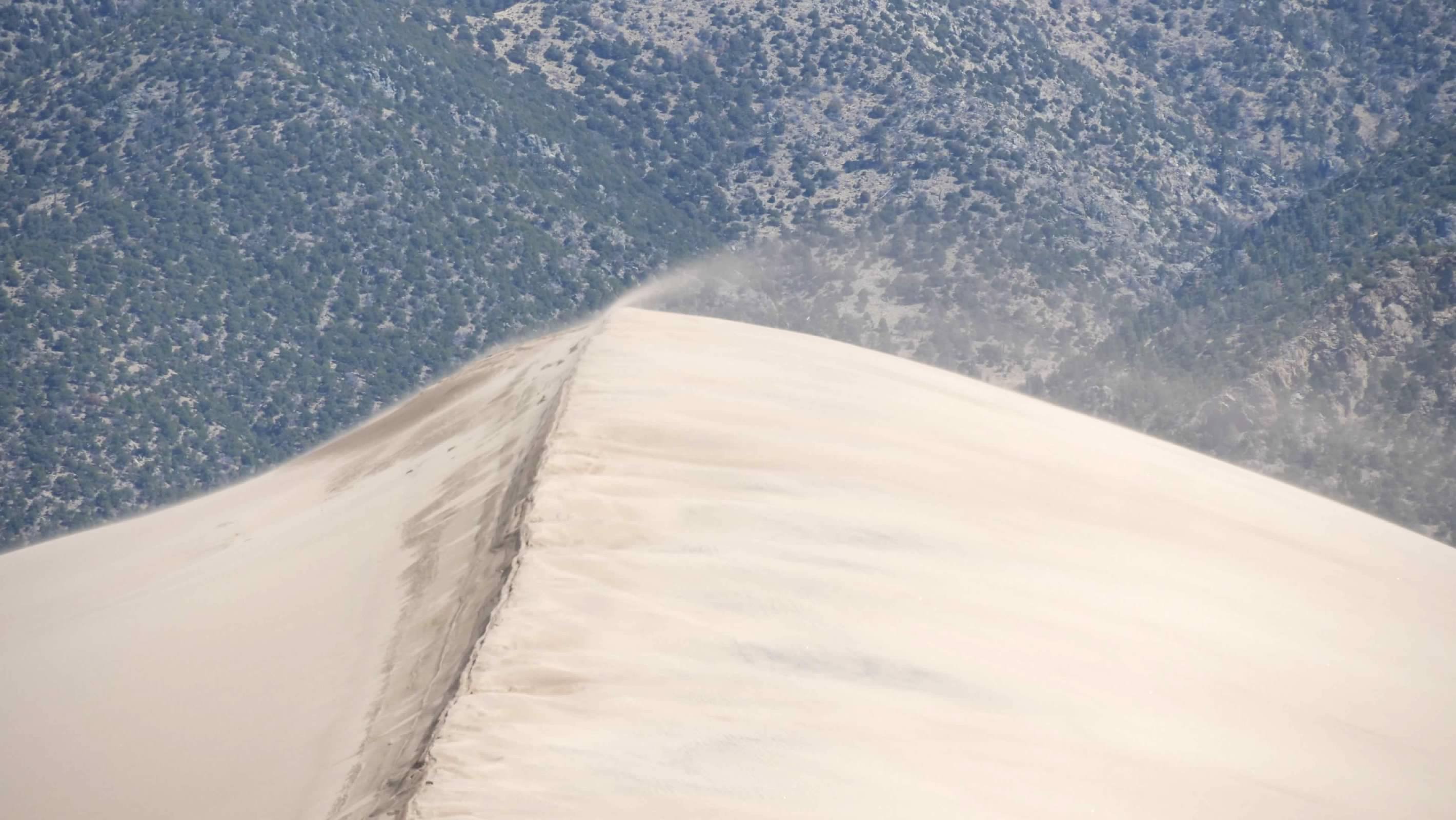 The wind blowing sand off the top of a dune
