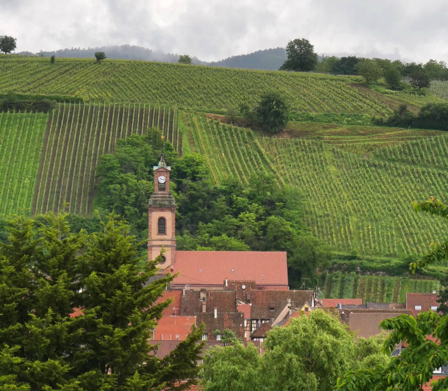 Vineyard church