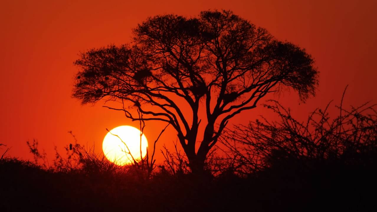 African sunset